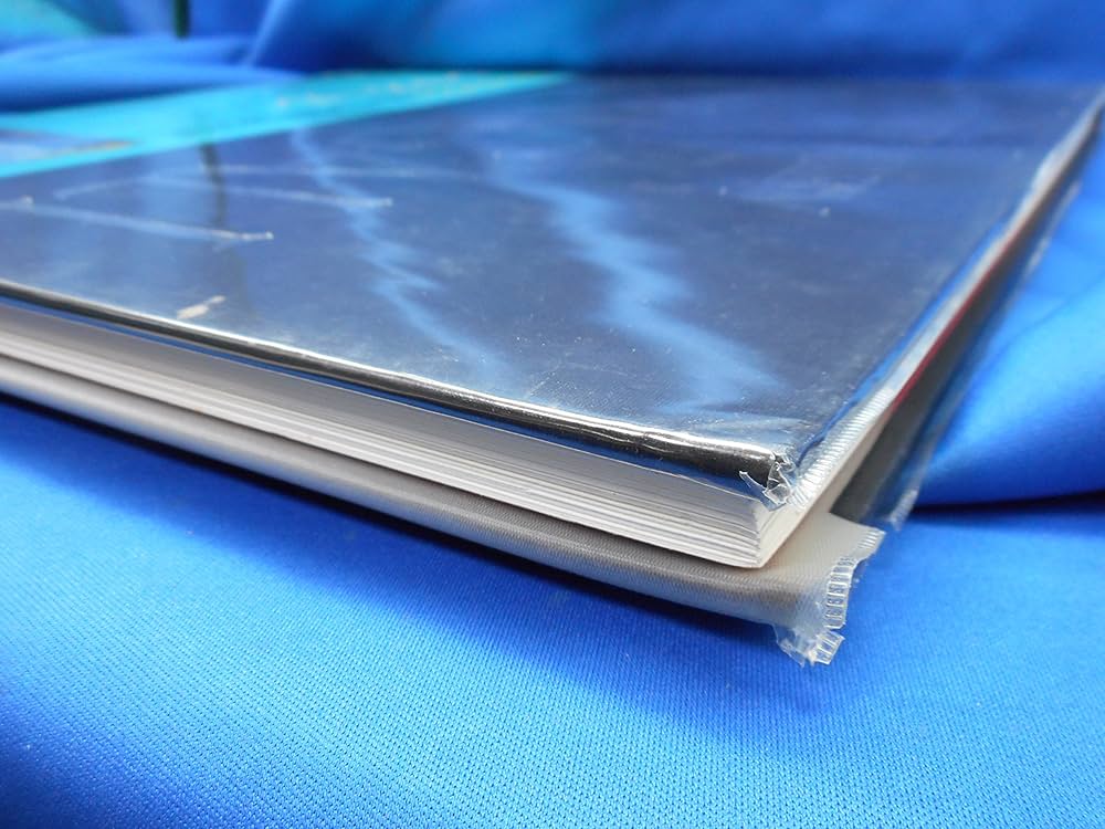 アート・ギャラリー現代世界の美術 (16) シャガール | シャガール