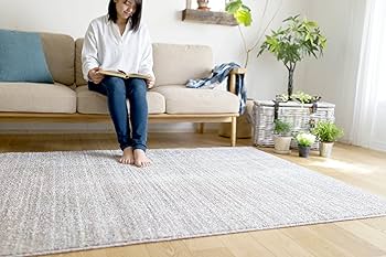 Amazon｜スミノエ(Suminoe) ラグ ライトグレー 140×200cm 防炎 防ダニ