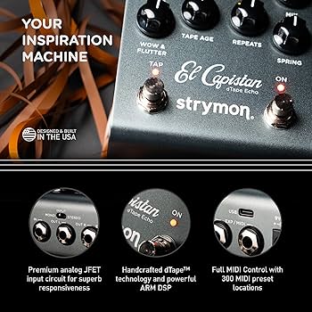 Amazon | Strymon/El Capistan V2 エル・キャピスタン テープエコー