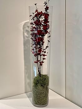 Amazon.com: WGV Tapered Glass Vase, Width 8