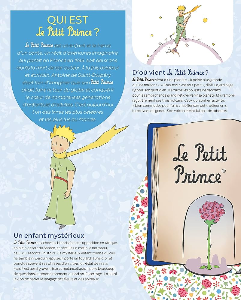 Amazon.com: Le petit Prince: 9782215159254: Boccador, Sabine