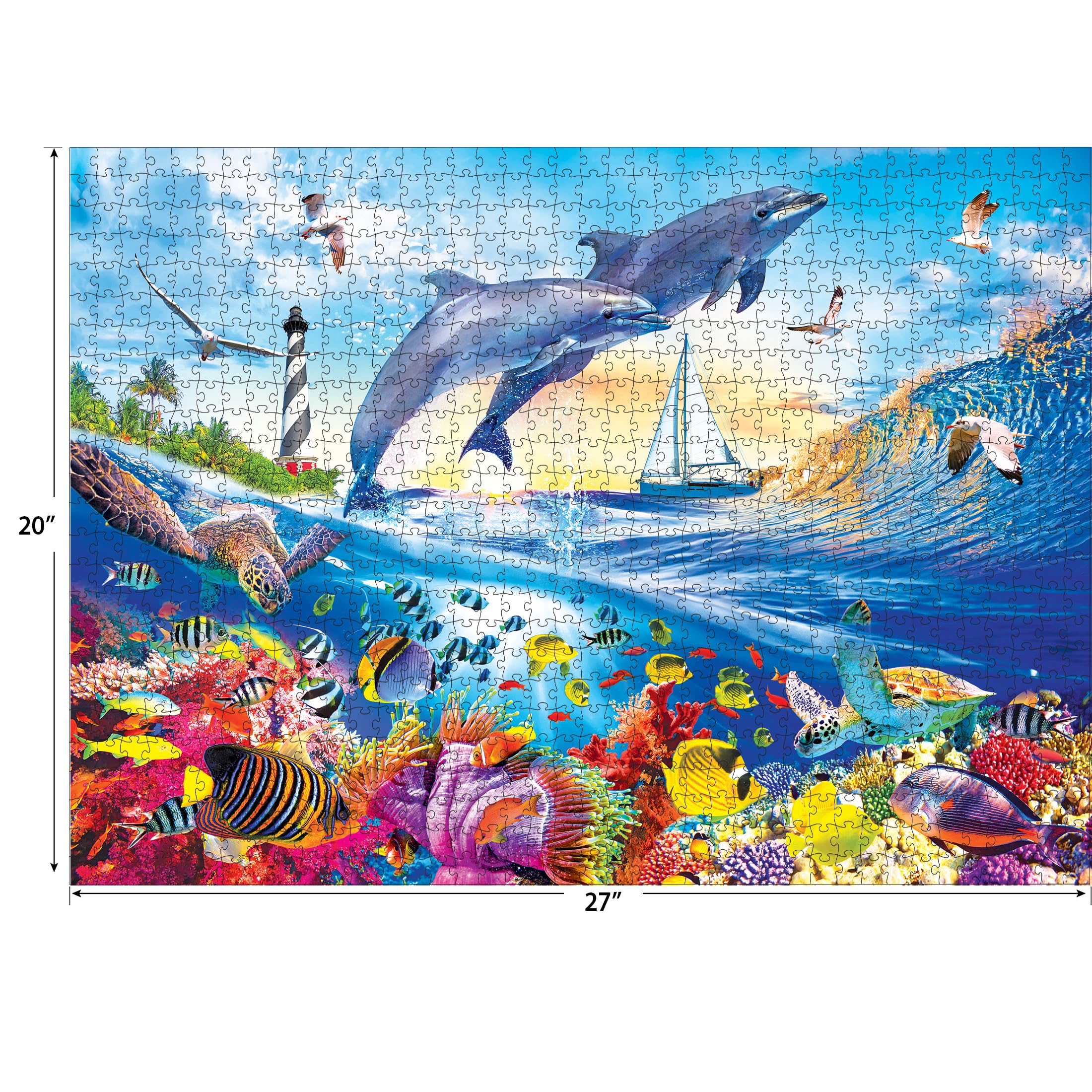 Amazon.com: RoseArt - Kodak Premium - Playful Summer Dolphins