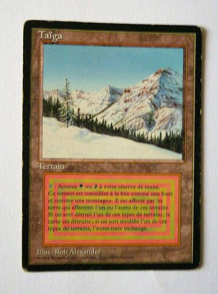 Amazon.co.jp: Magic: the Gathering - Taiga - Revised Edition