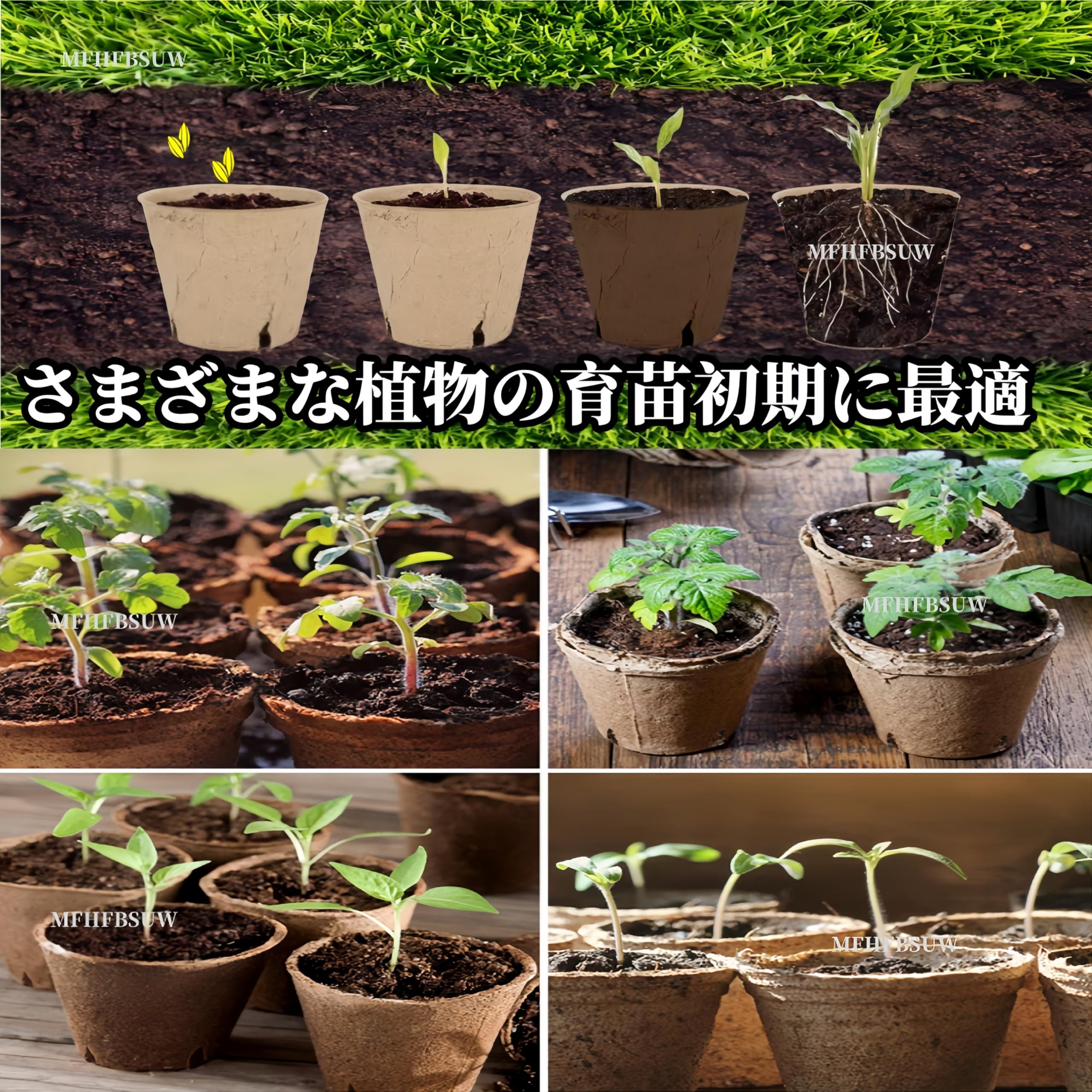 Amazon.co.jp: 育苗ポット 8CM 苗ポット 種まきポット 育苗トレー 分解