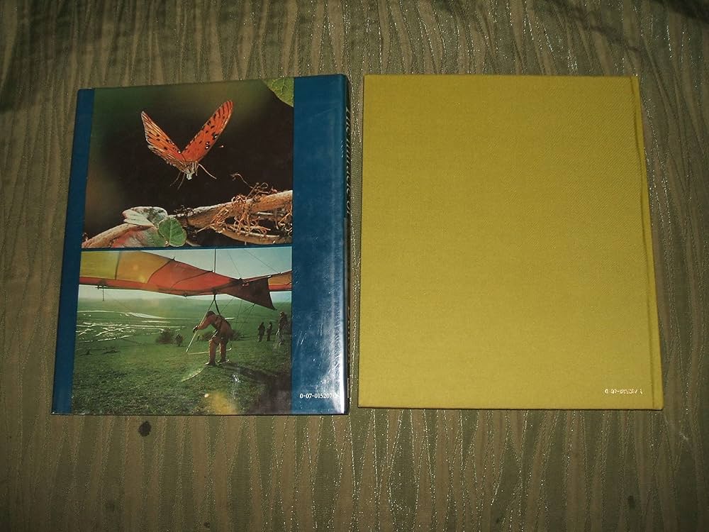 The Miracle of Flight: Dalton, Stephen: 9780070152076: Amazon.com