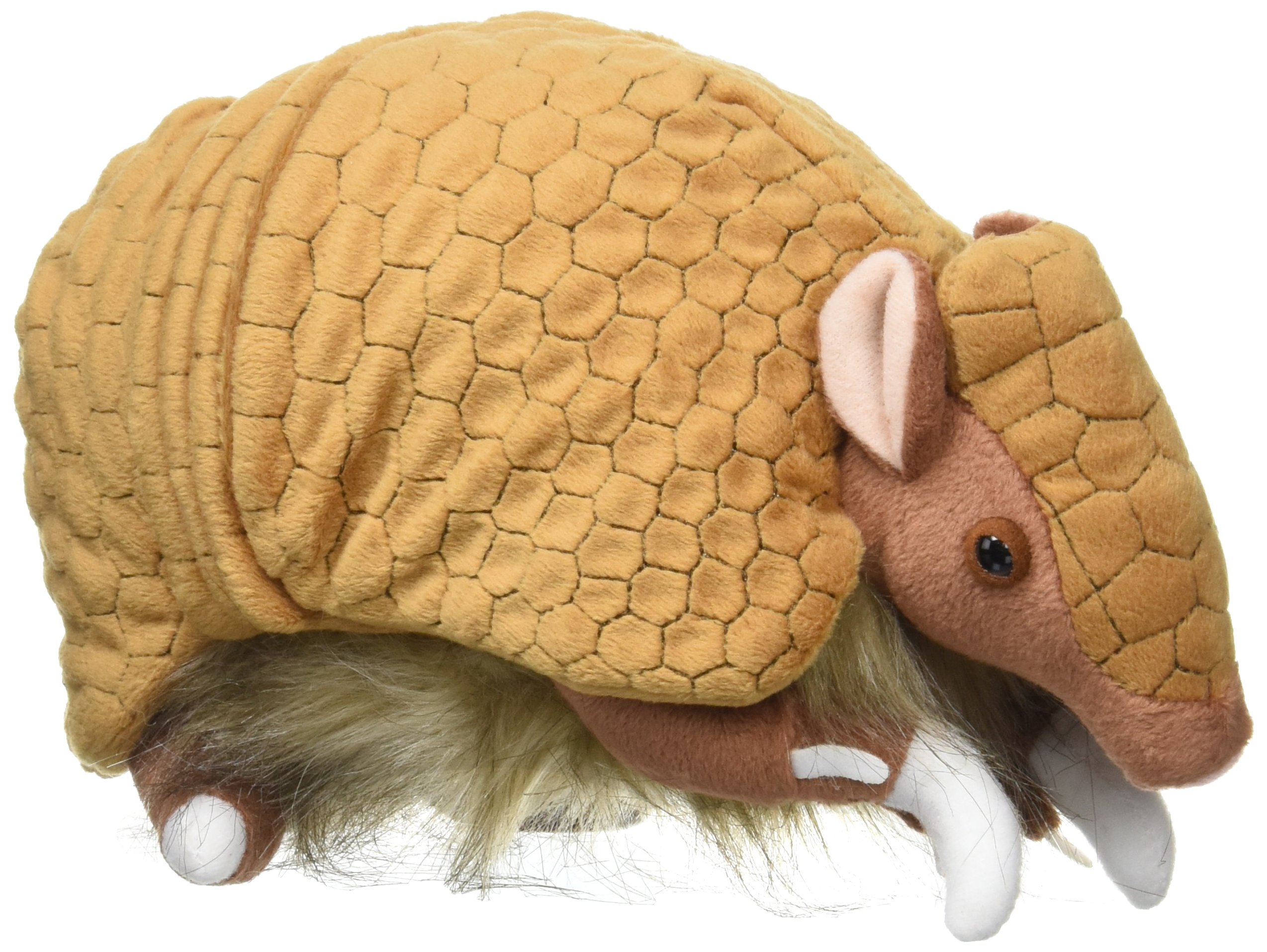Amazon.co.jp: ミツオビアルマジロ ぬいぐるみ 26cm : おもちゃ
