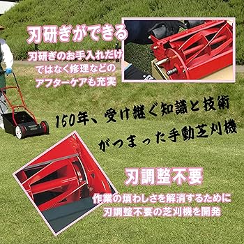 Amazon.co.jp: キンボシ(Kinboshi)ゴールデンスター ハッピーファイン