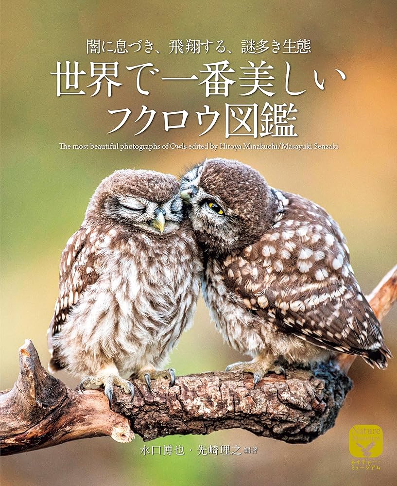 Amazon.co.jp: 世界で一番美しいフクロウ図鑑: 闇に息づき、飛翔する
