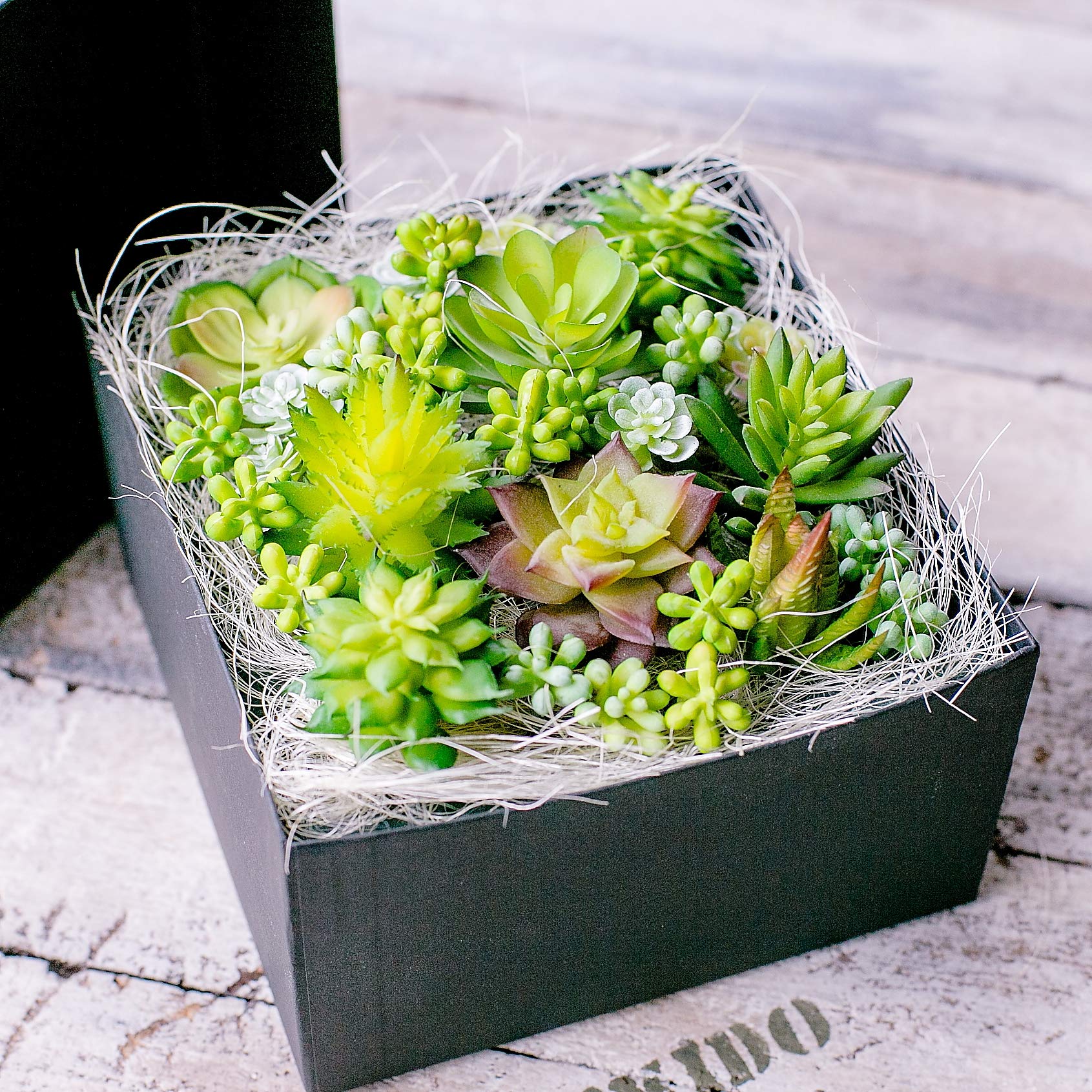 Amazon｜多肉植物 造花 寄せ植え ギフト 多肉フェイクグリーン