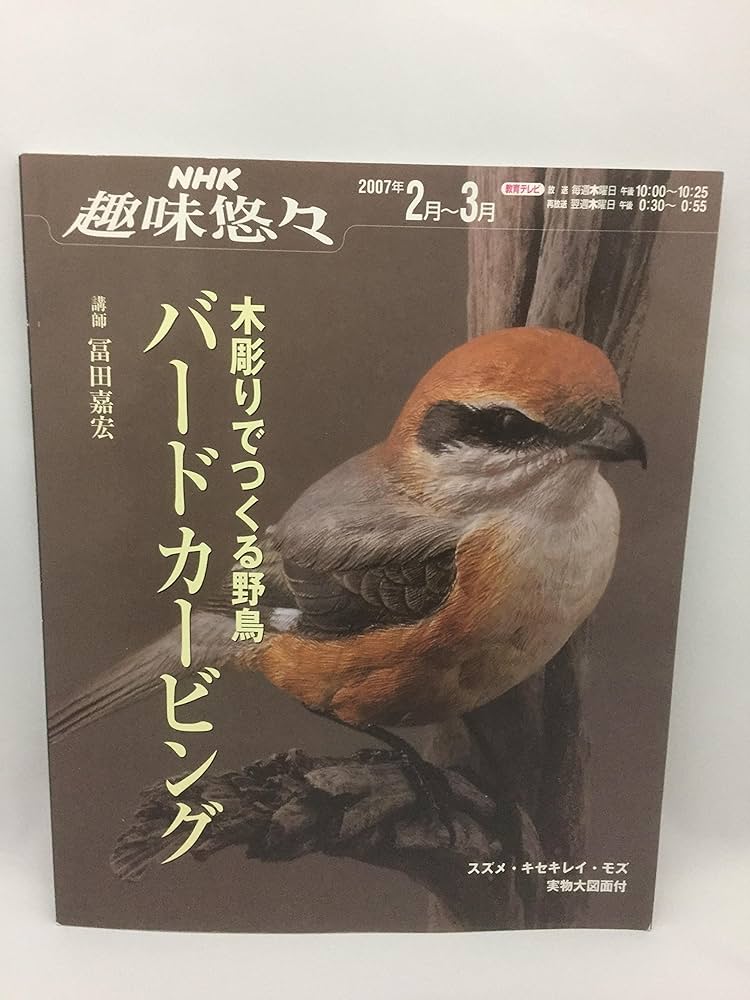 Amazon.co.jp: 木彫りでつくる野鳥バードカービング (NHK趣味悠々