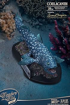 Amazon | スターエーストイズ ワンダーズ オブ ザ ワイルド