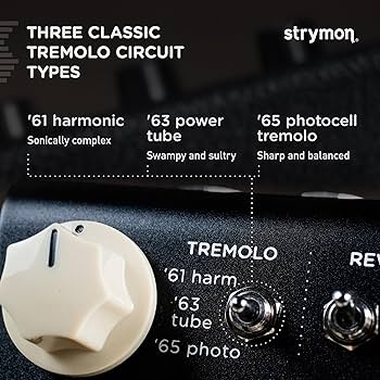 Amazon | Strymon/FLINT V2 フリント リバーブ＆トレモロ | ディレイ