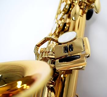 Amazon | Kaerntner ケルントナー アルトサックス KAL-62 | サックス