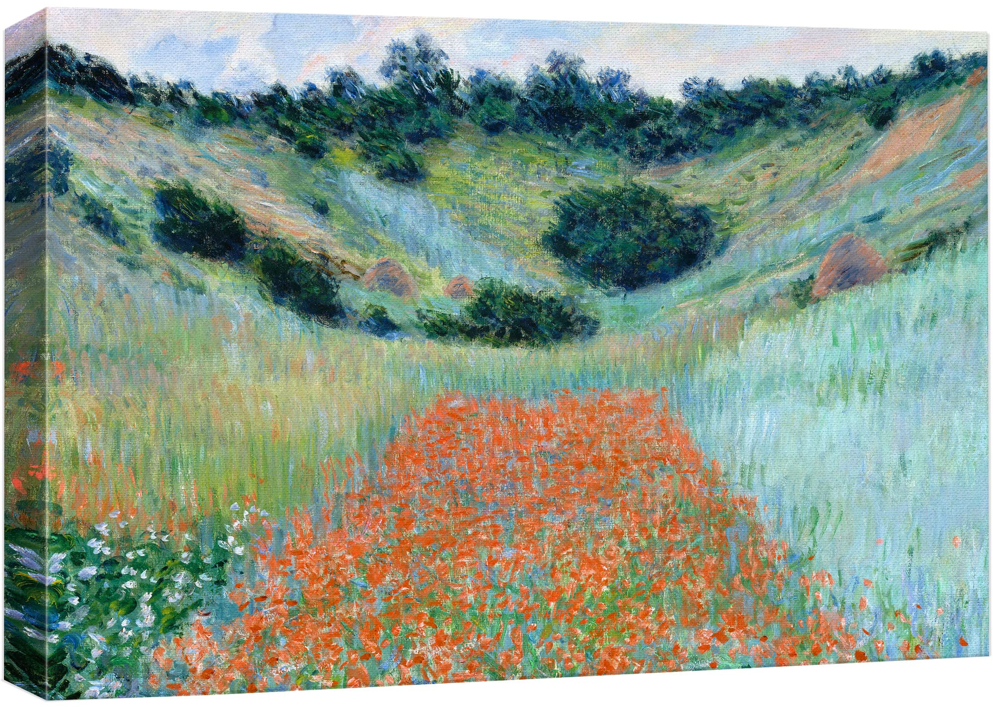 Amazon.com: Poppy Field in a Hollow Near Giverny by Claude Monet