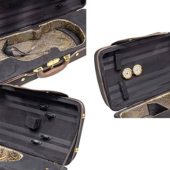 Amazon.co.jp: MI&VI プロフェッショナルハードシェル木製バイオリン