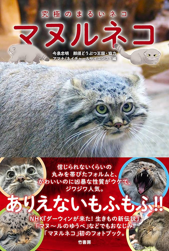 Amazon.com: マヌルネコ: 9784801917781: アマナネイチャー&サイエンス