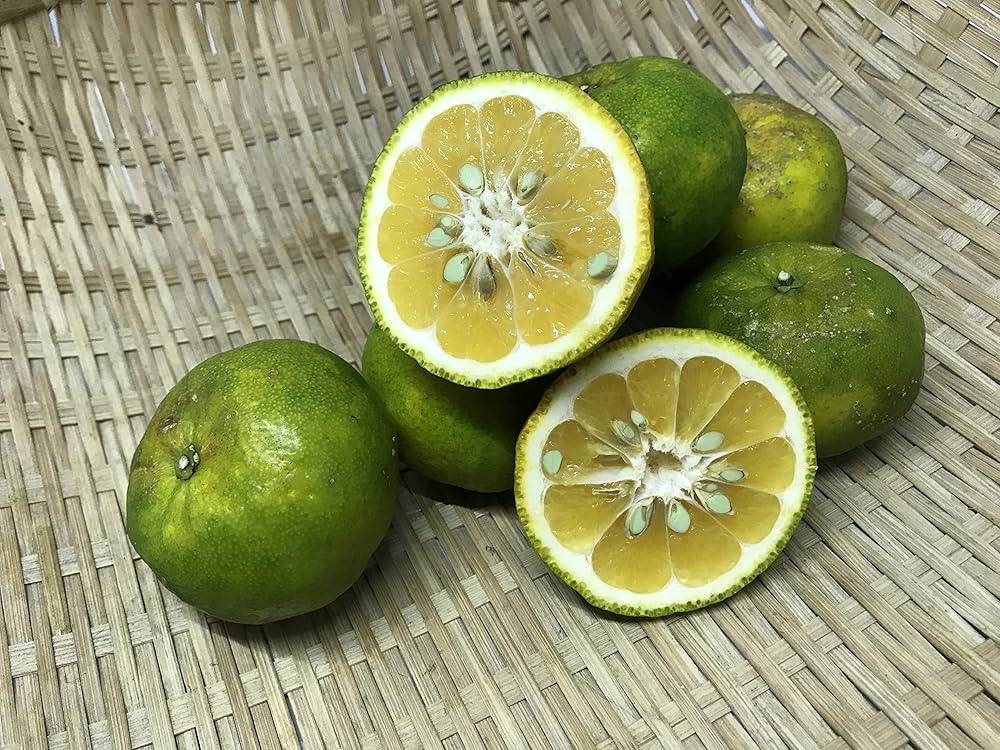 Amazon.co.jp: タルガヨー 約5kg 昔ながらの沖縄みかん 沖縄県産