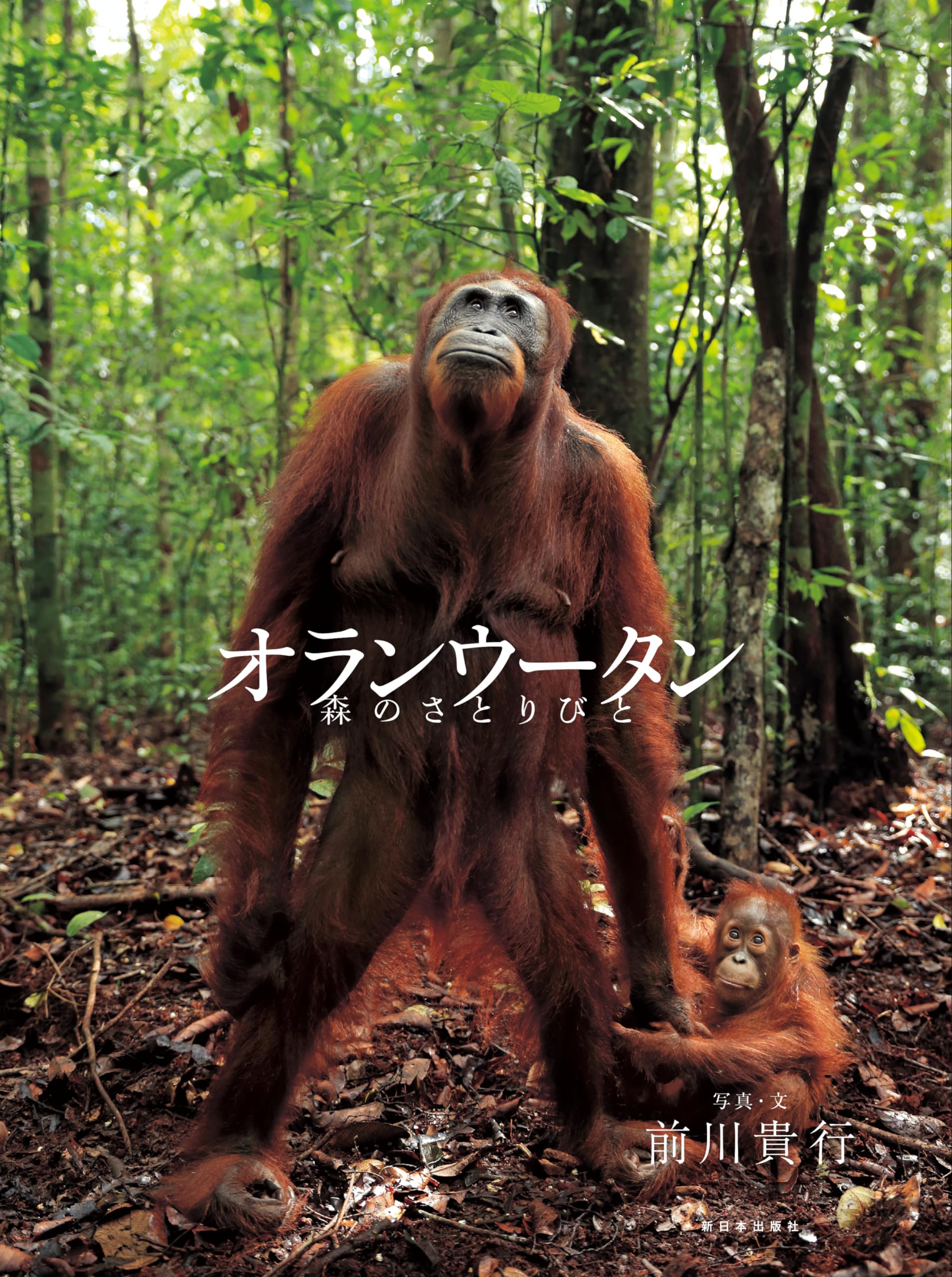 Amazon.co.jp: オランウータン──森のさとりびと : 前川貴行