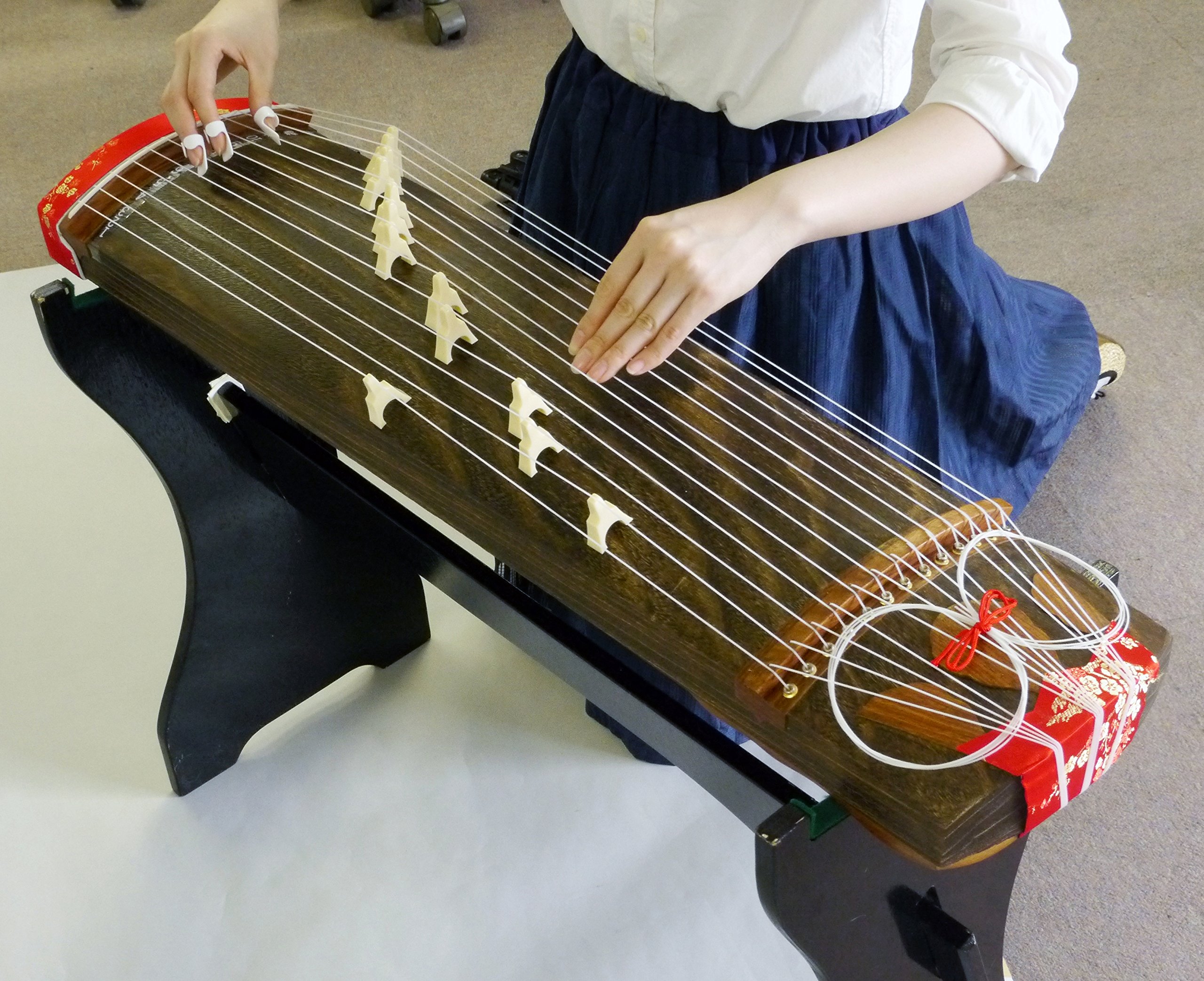 Amazon.co.jp: ゼンオン 文化箏 羽衣 ソフトケースセット ZK-01 短箏