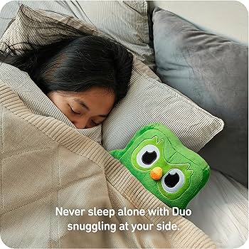 Amazon.co.jp: Duolingo Duo ぬいぐるみ - 公式ライセンス - 毎日の