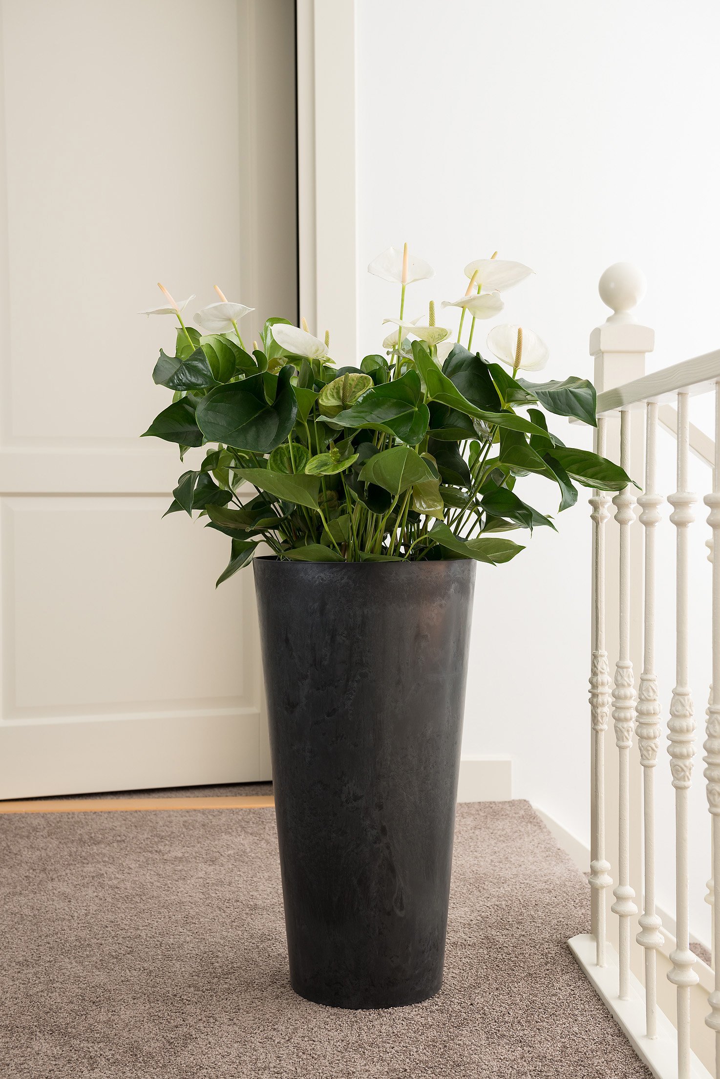 Amazon | アートストーン トールラウンド 37cm×H70cm ブラック ／底面