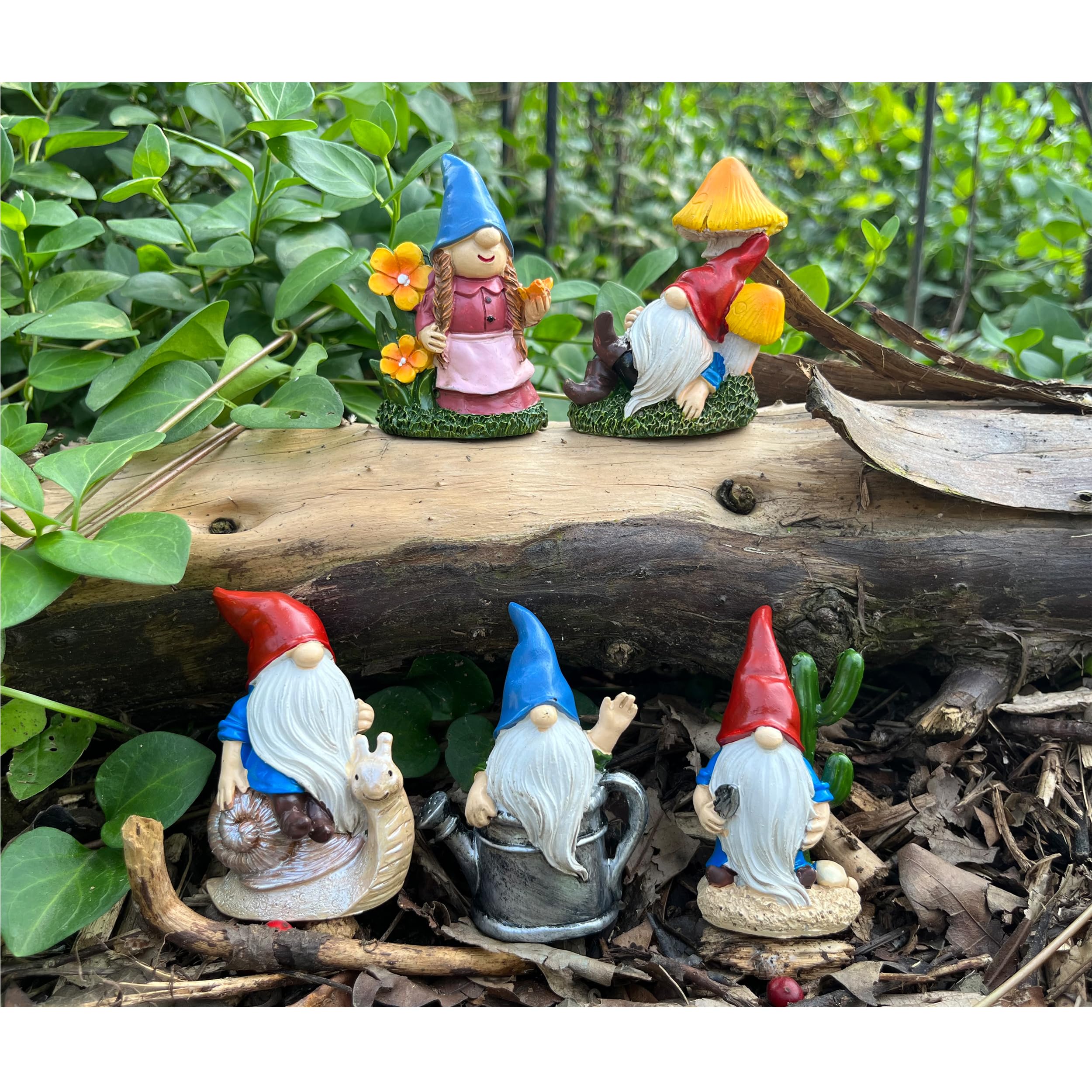 Amazon.com: Cliocoo 5pcs Gnome Miniature Set for Fairy Garden