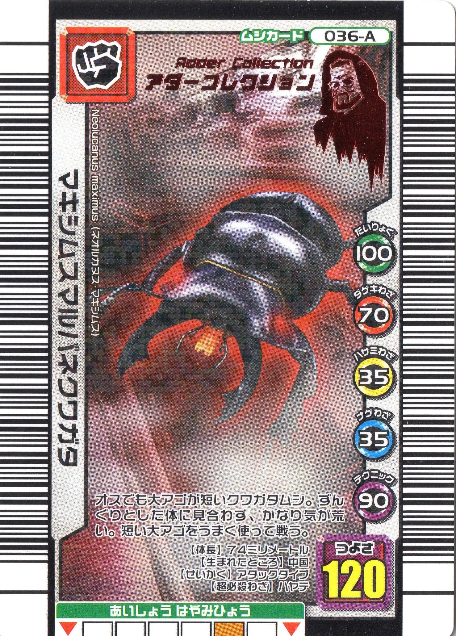 Amazon.co.jp: ムシキング MUSI-036A-3OKU マキシムスマルバネクワガタ