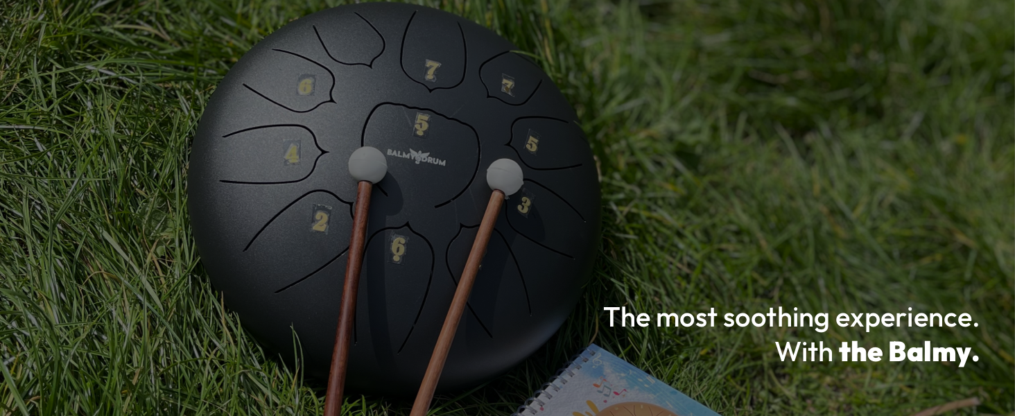 Amazon.com: The Balmy Drum - 11 Note 10 Inch Steel Tongue Drum