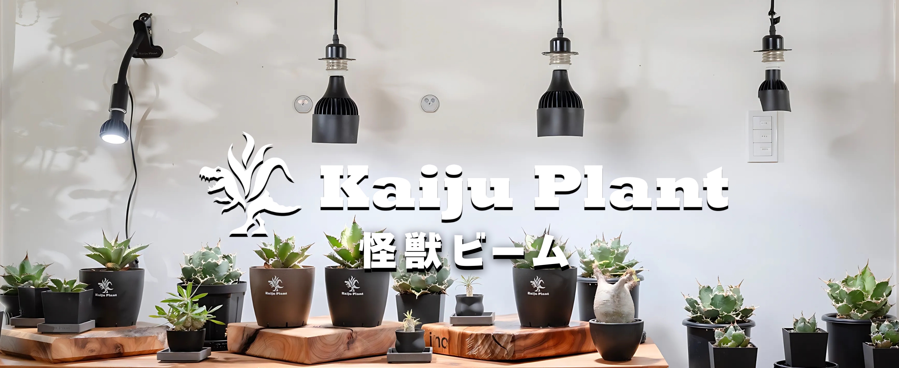 Amazon.co.jp: Kaiju Plant 怪獣ビームLOW ぐんぐん育つ 室内園芸用