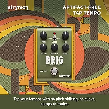Amazon.com: Strymon Brig dBucket BBD Guitar Delay Pedal with 3