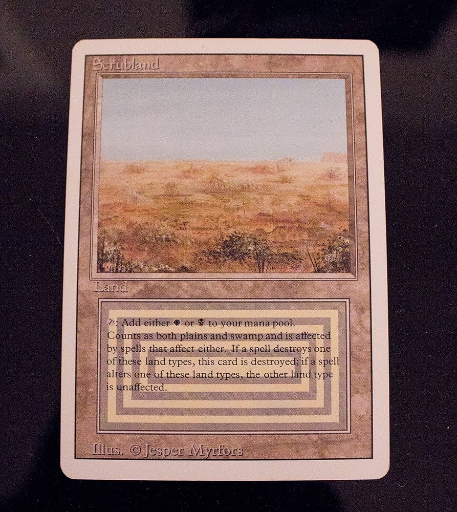 Amazon.co.jp: Magic: the Gathering - Scrubland - Revised Edition