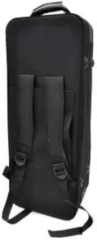 Amazon.co.jp: PLAYTECH (プレイテック) テナーサックス用セミハード