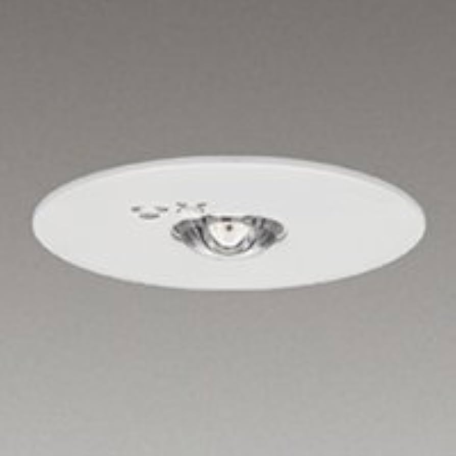 Amazon.co.jp: 東芝 LED 非常用照明器具 埋込形 専用形 Φ100 一般形