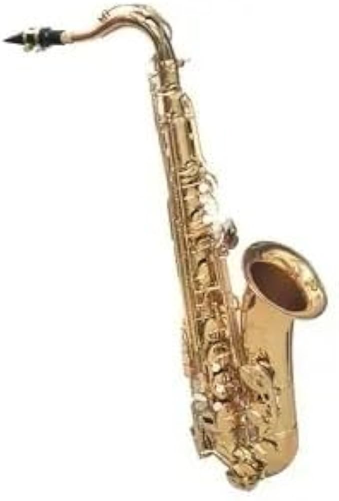 Amazon.co.jp: PLAYTECH サックス : 楽器・音響機器