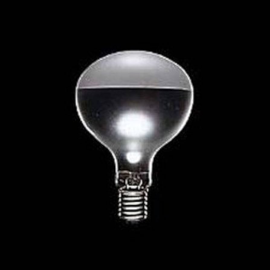 Amazon | 東芝ライテック 300W チョ-クレス 水銀ランプ BHRF200