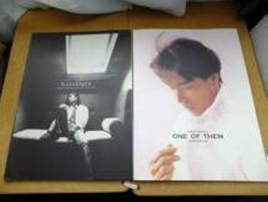 Amazon.co.jp: 徳永英明 コンサート ツアー パンフレット Nostalgia 94