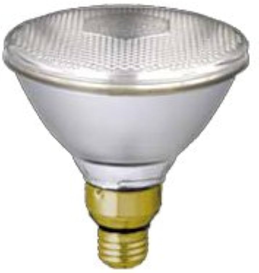 Amazon | 東芝 屋外用 ビームランプ 散光形 100W形 BRF110V80W