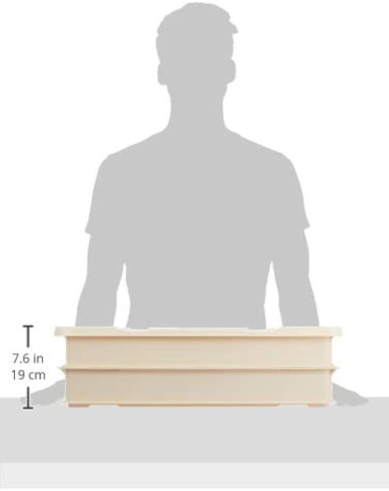 Amazon｜新輝合成(Shinki Gosei) トンボ 業務用 フードコンテナ 食品