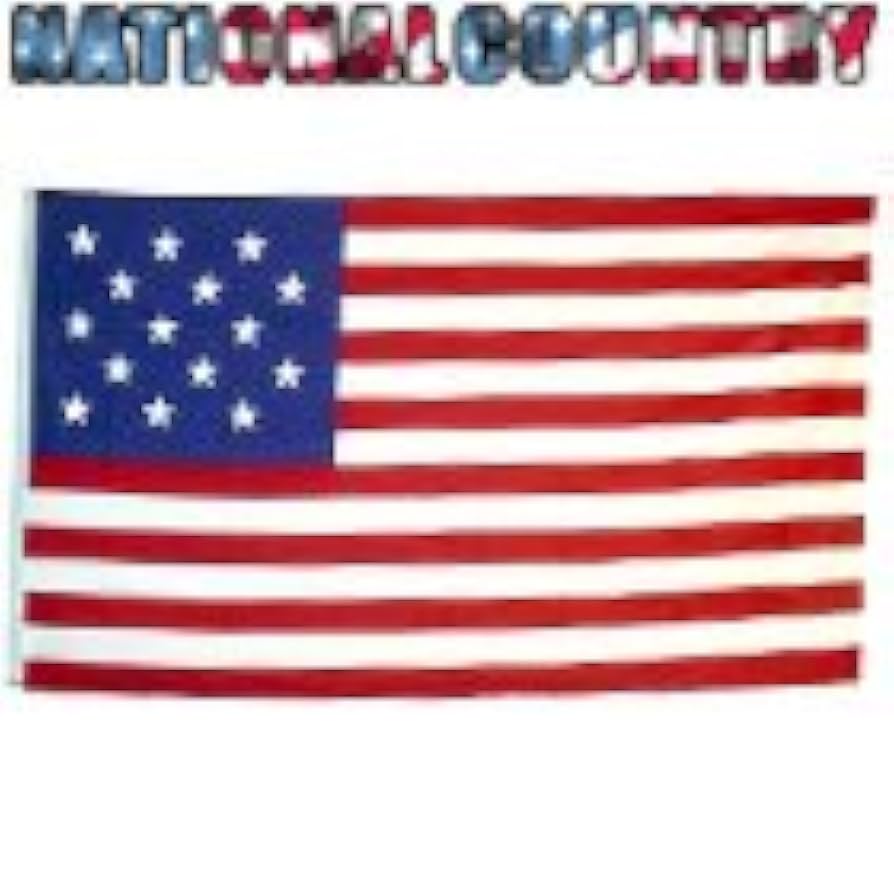 Amazon.co.jp: 星条旗 星条旗 3x5 15星 アメリカ国旗 : DIY・工具