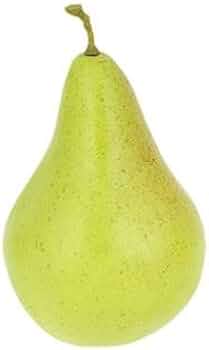 21Lfb-8i4AL._AC_UF350,