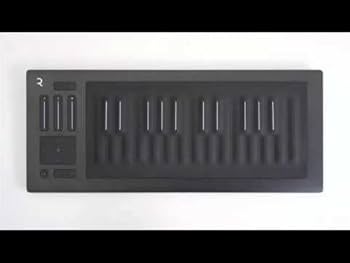 Amazon | ROLI Seaboard RISE 25 MIDI コントローラー [並行輸入品