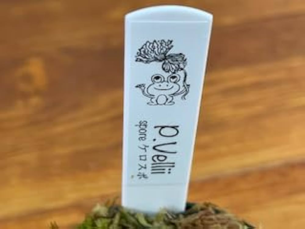 Amazon.co.jp: frog_yamato【vellii ベリー】hillii has × veichii