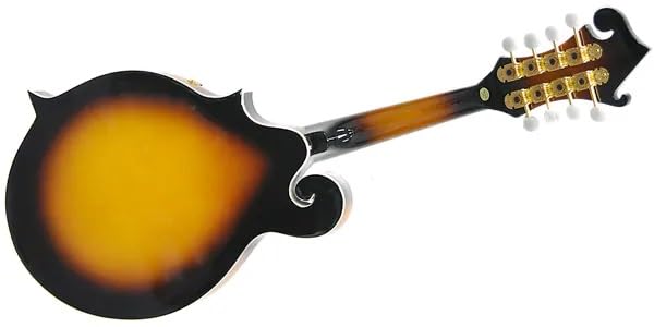 Amazon | PLAYTECH (プレイテック) Fスタイルフラットマンドリン