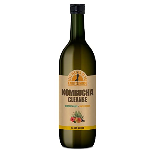 コンブチャクレンズ」の人気商品一覧 | 安い商品を通販サイトから探す