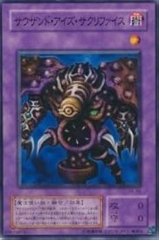 Amazon.co.jp: サウザンド・アイズ・サクリファイス 【N】 PE-40-N