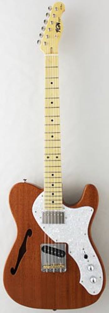 Amazon | FGN (Fujigen フジゲン 富士弦) NTL11MMHT-NT Neo Classic