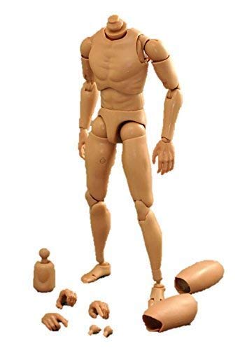 Amazon | [Tbmodel] 1/6 フィギュア 男性 素体 素体セット 2種類ヘッド