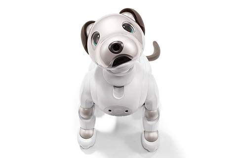 Amazon | SONY AIBO ERS-1000 アイボーン付属 | 電動ロボット | おもちゃ