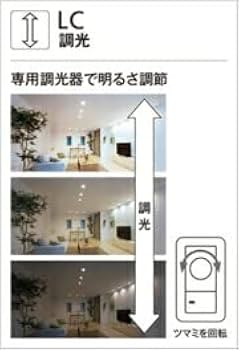 Amazon.co.jp: オーデリック LEDスポットライトL別売 OS256748: ホーム