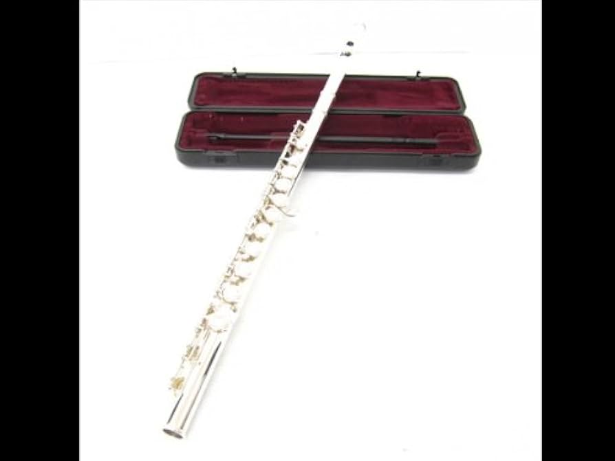 Amazon | YAMAHA ヤマハ YFL-221SII フルート | フルート | 楽器・音響機器
